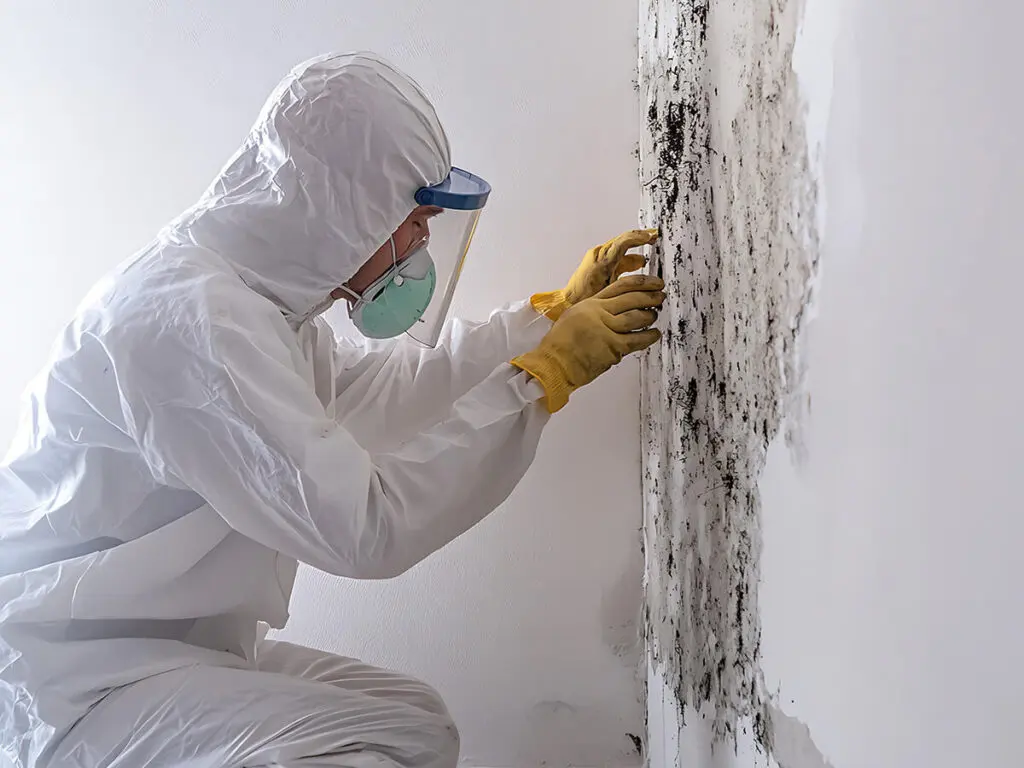 Mold Remediation on a wall